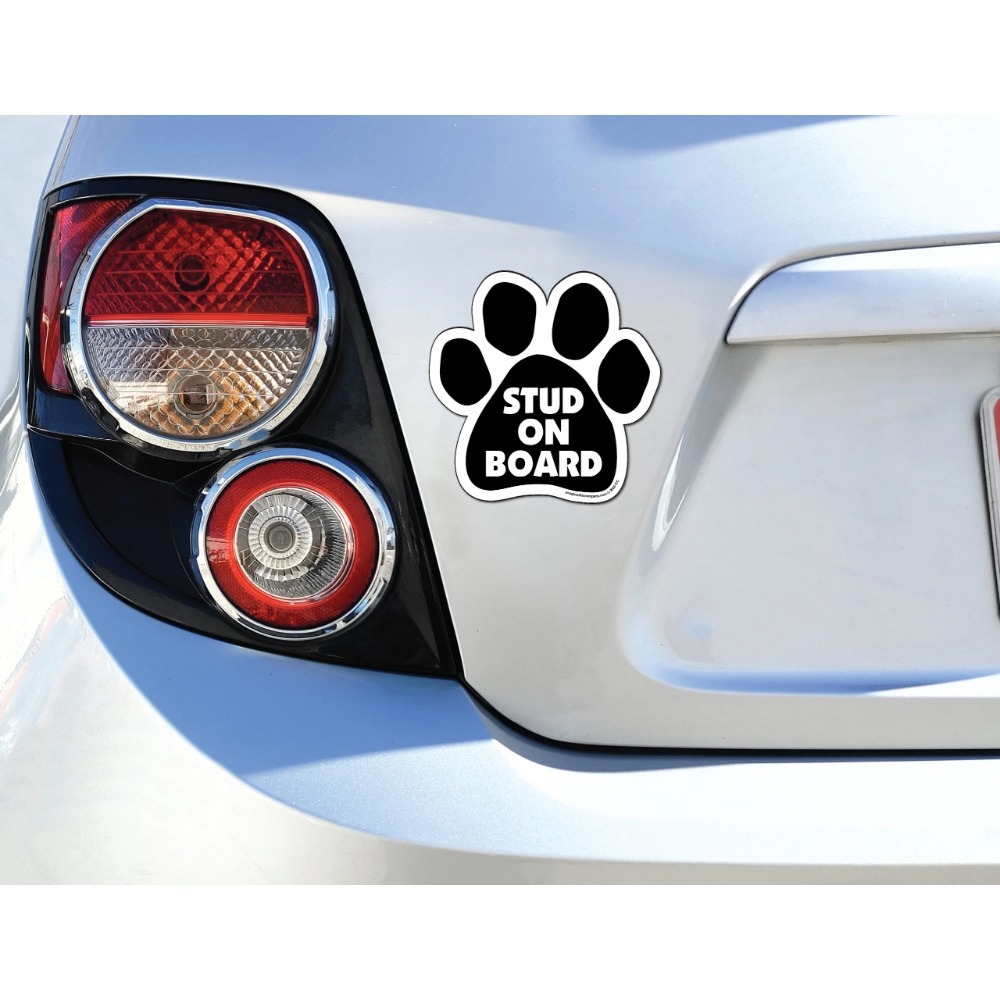 Stud On Board Paw Cute Car Lap – Laptop Accessories Online Bewertung und Preis